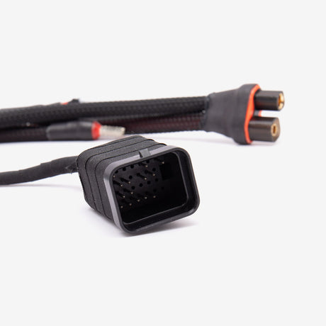 EBMX E-Ride Pro Harness and Bashplate version 2 for PRO-SS Black