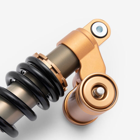 Shock Absorber Gold