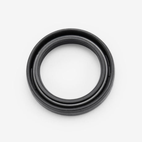 Oil Seal 16 x 22 x 4mm