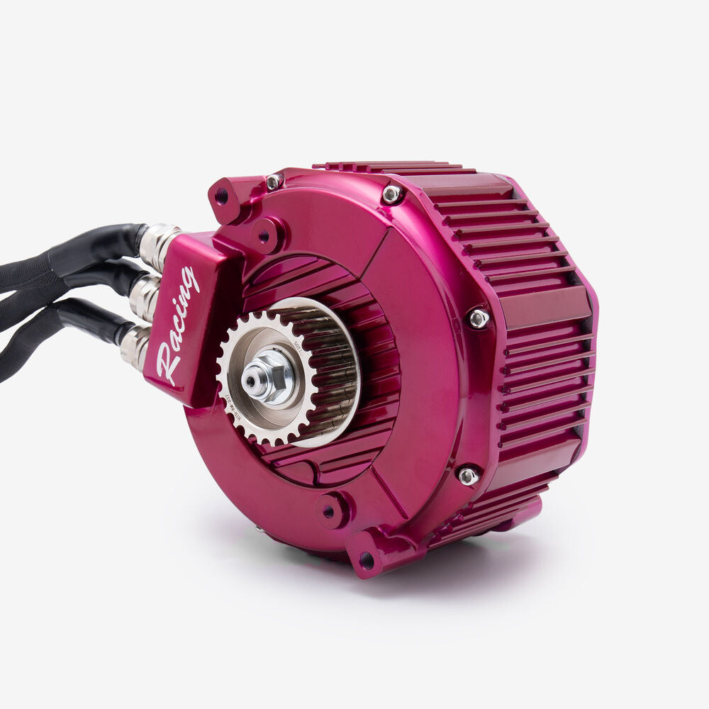 Sotion GTS01 Motor 96V for Light Bee